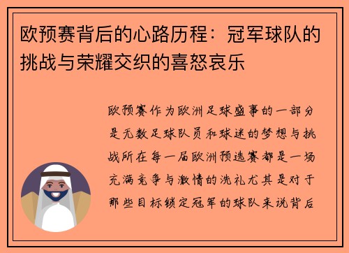 欧预赛背后的心路历程：冠军球队的挑战与荣耀交织的喜怒哀乐